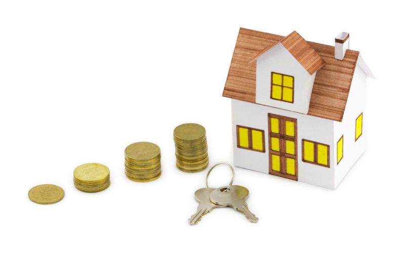 Due diligence feasibility research Due diligence feasibility research