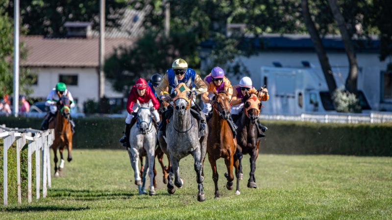 Horse racing