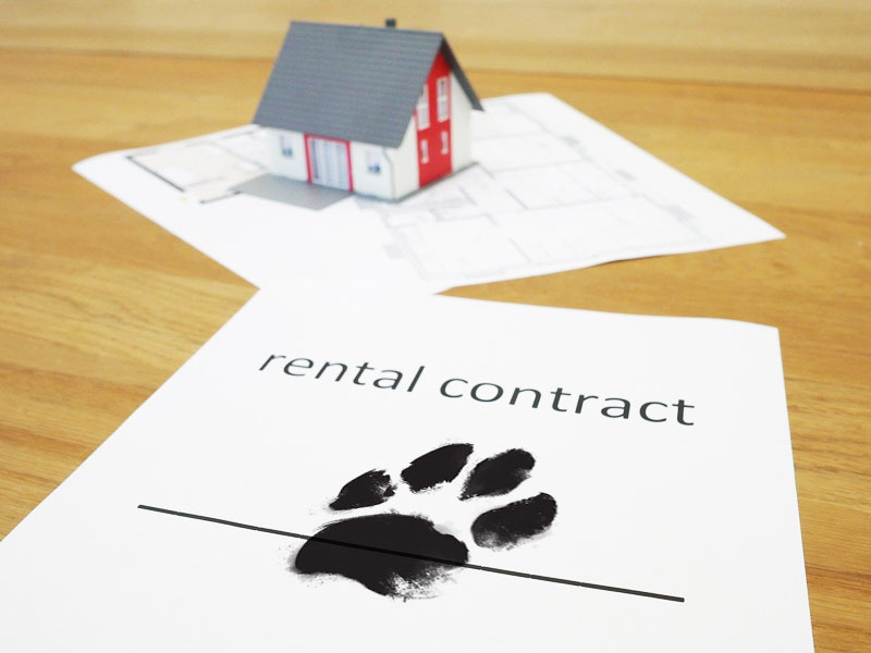 Renting With Pets