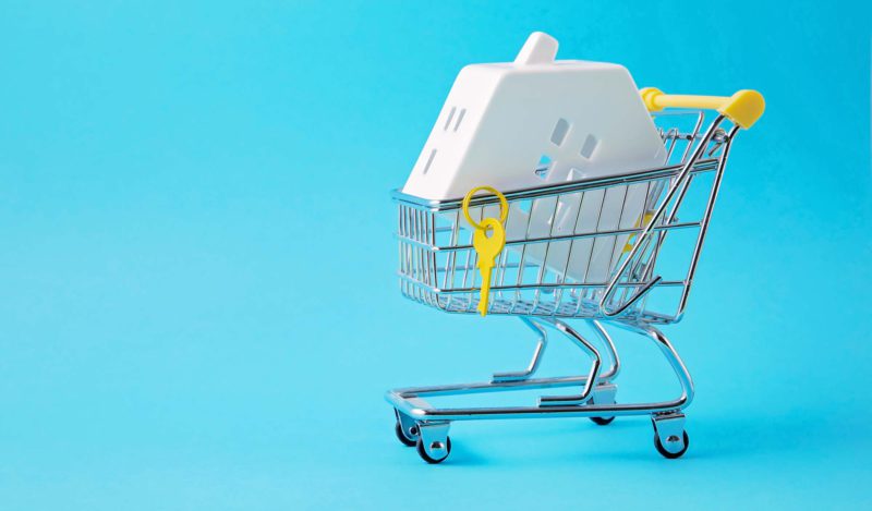 Shopping Trolley With Miniature Hose Inside House Adxw9qp